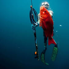 spearfishing